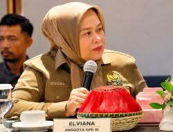 Elviana Minta Pemerintah Legalkan Tambang Emas Rakyat: Jangan Biarkan Warga Hidup di Atas Emas tapi Tetap Miskin