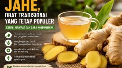 Jahe, Obat Tradisional yang Tetap Populer: Kenali Manfaat dan Cara Konsumsinya