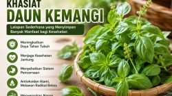 Khasiat Daun Kemangi, Lalapan Sederhana yang Menyimpan Banyak Manfaat bagi Kesehatan