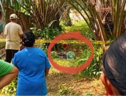 Diduga Aniaya Ibu Kandung hingga Tewas, Pria di Rimbo Ilir Diamankan Polisi