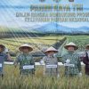 Gubernur Al Haris Hadiri Panen Raya TNI di Desa Kota Baru Geragai, Dukung Ketahanan Pangan