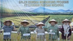 Gubernur Al Haris Hadiri Panen Raya TNI di Desa Kota Baru Geragai, Dukung Ketahanan Pangan