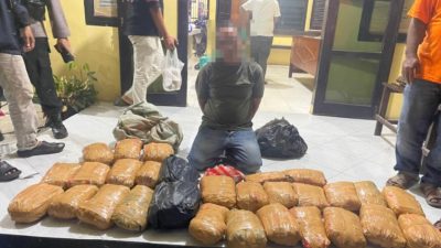 30 Paket Ganja Kering Siap Edar Digagalkan, Diduga Kurir Antar Provinsi Ditangkap di Pasaman Barat