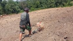 TMMD Mulai Tanam Jagung, Lahan Tidur Disulap Jadi Sumber Ketahanan Pangan Warga