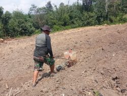 TMMD Mulai Tanam Jagung, Lahan Tidur Disulap Jadi Sumber Ketahanan Pangan Warga
