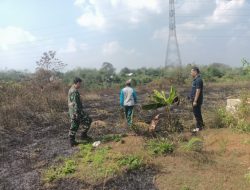 Karhutla di Manggis, Warga dan Petugas Sigap Padamkan Api