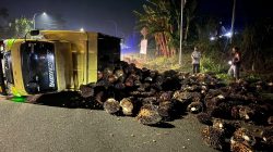 Mobil PS Muatan Sawit Melintang di KM 12 Tebo, Diduga Pecah Ban