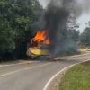 Truk Sembako Dibakar Usai Kecelakaan, Polisi Buru Pelaku di Mangupeh