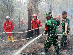 Karhutla Sungai Buluh Padam, Petugas Tetap Waspada