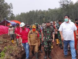 Al Haris dan Pangdam Turun Padamkan Karhutla 86 Hektare di Tanjabtim