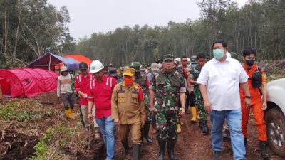 Al Haris dan Pangdam Turun Padamkan Karhutla 86 Hektare di Tanjabtim