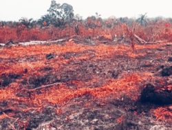 Karhutla Tebo Membara, Dua Titik di Lahan Perusahaan Belum Padam