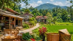 5 Peluang Usaha di Dusun Tahun 2026 yang Bisa Dimulai dengan Modal Kecil
