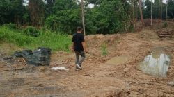 Dugaan Perambahan Hutan di Kawasan Konservasi PT WKS, Aparat Masih Dalami Kasus