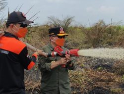Turun Langsung Padamkan Karhutla di Air Merah, Gubernur Al Haris: Api Sudah 3 Hari, Gambut Sulit Dipadamkan