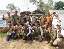 Dampingi Menhut Raja Juli, Al Haris Tinjau Konservasi Gajah dan Hutan Desa di Jambi