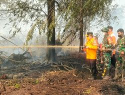 HLG Londerang Kembali Terbakar, Al Haris dan Danrem Pantau Pemadaman
