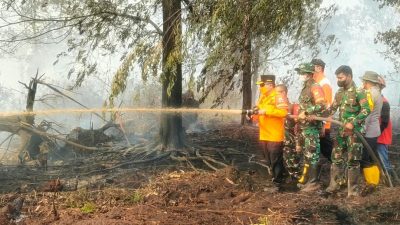 HLG Londerang Kembali Terbakar, Al Haris dan Danrem Pantau Pemadaman
