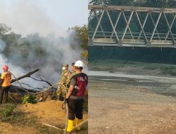 Kemarau Diprediksi hingga November, Sumur Warga Mengering, Karhutla Mengintai
