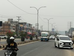 Kabut Asap Menebal di Bungo, BPBD Sebut Ada Asap dari Daerah Tetangga