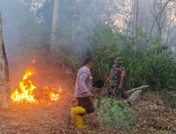 Kebun Sawit dan Karet Warga Mangun Jayo Terbakar, Polisi Selidiki Penyebabnya