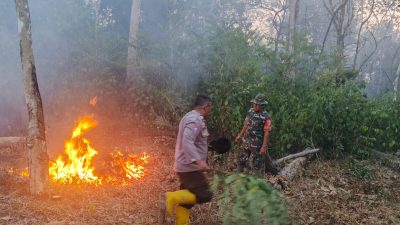 Kebun Sawit dan Karet Warga Mangun Jayo Terbakar, Polisi Selidiki Penyebabnya