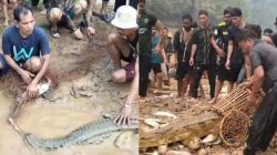 Dua Buaya Nyangkut di Jala dan Lukah Saat Warga Buka Lubuk Larangan di Bungo