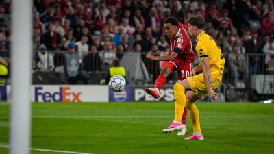 Bayern Munchen Pesta Gol 5-0 atas Bodø/Glimt, Musiala Buka Keran Gol