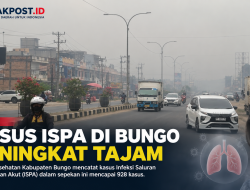 Sepekan, Kasus ISPA di Bungo Capai 928
