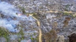 Antara Hotpot dan Titik Api : Ketika Komunikasi Pemerintah Diujioleh Karhutla Jambi