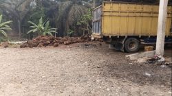 Update Harga Sawit Kuamang Kuning 22 Oktober 2026, Tembus Rp2.950 per Kg